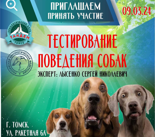 Приглашаем принять участие в Тестировании поведения собак в Томске!